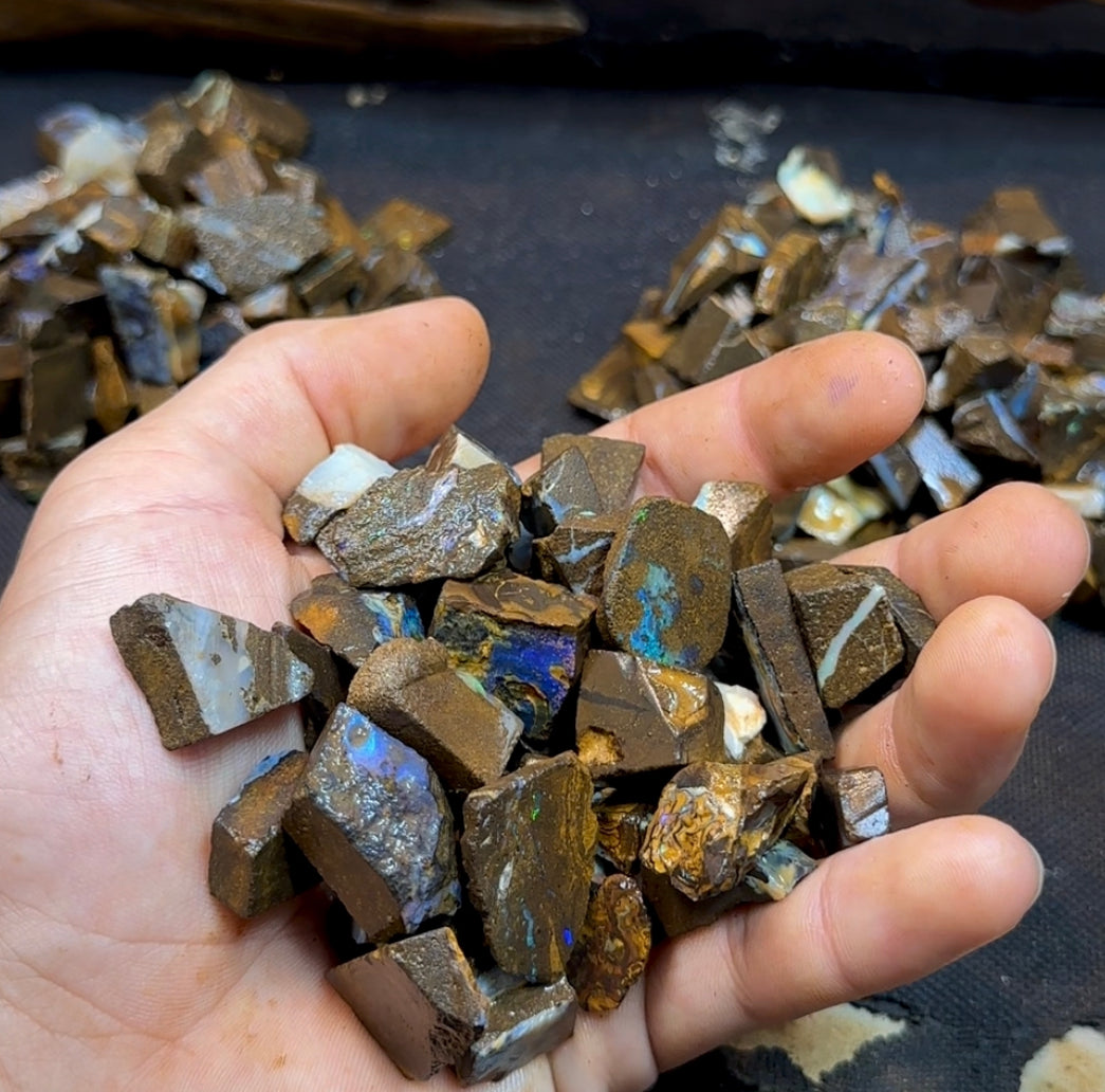310g - Small Boulder opal rough blocks. BARGAIN in BULK - Opal Whisperers