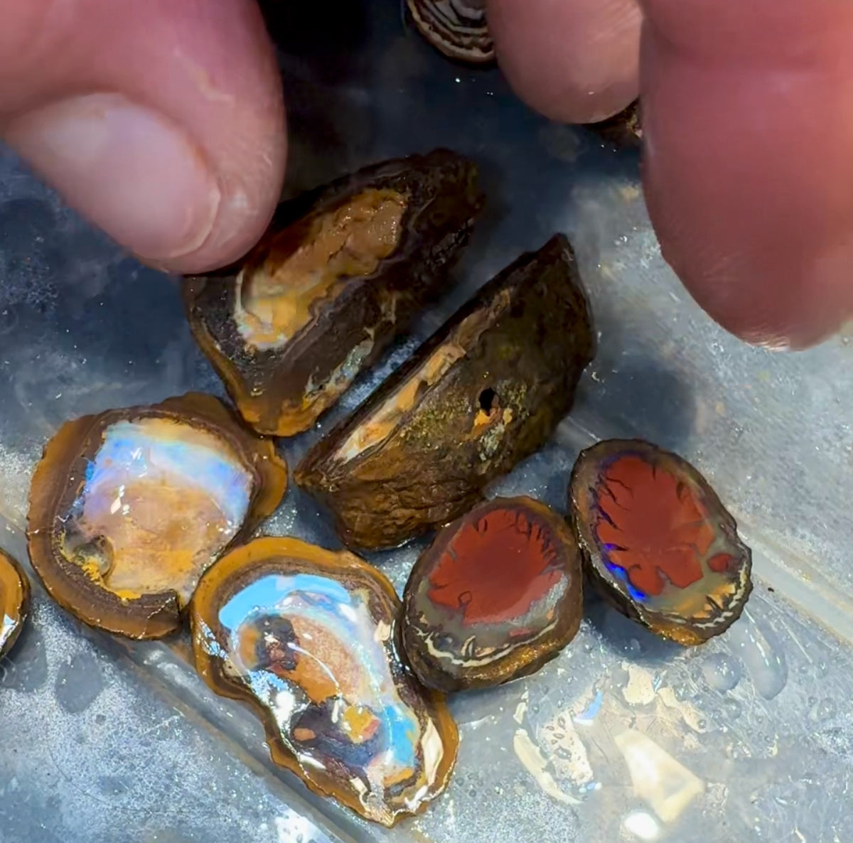 Isaac Choice - 3 x matched pairs - Jojo Yowah Nut Opal. Total 6 pieces New Price BARGAIN BULK LISTING