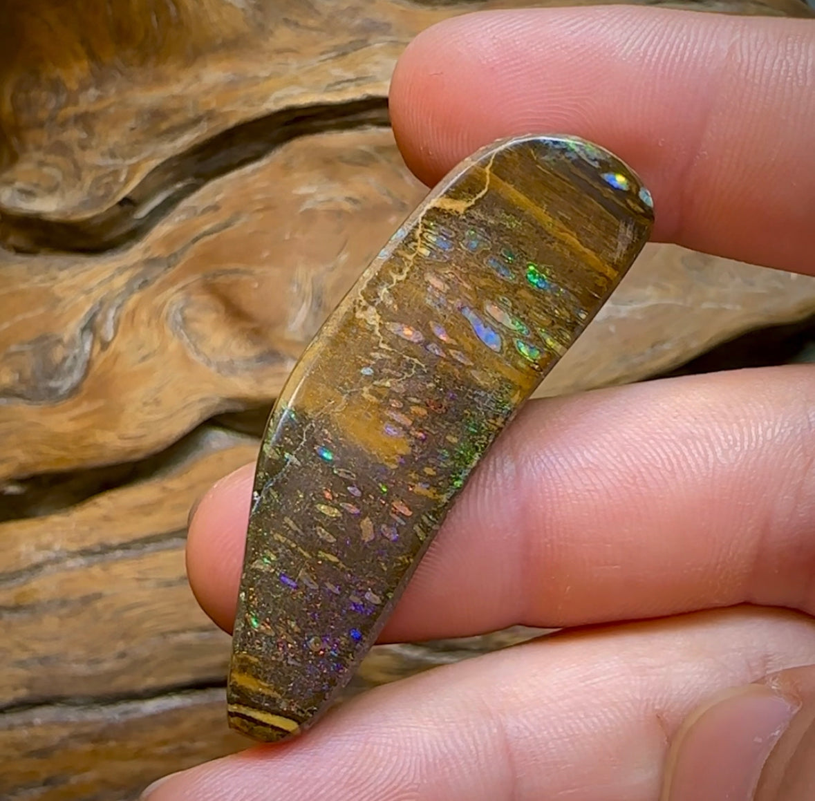 49cts - Queensland Boulder Opal from Yowah. Unique Tight Conglomerate. - Opal Whisperers