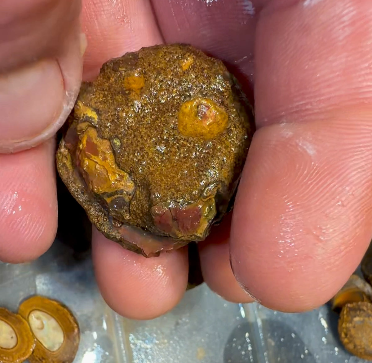 Isaac Choice - 3 x matched pairs - Jojo Yowah Nut Opal. Total 6 pieces New Price BARGAIN BULK LISTING