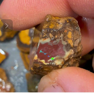 Isaac Choice 6 x Jojo Yowah Nut Opal Slices. New  Price Bargain in Bulk