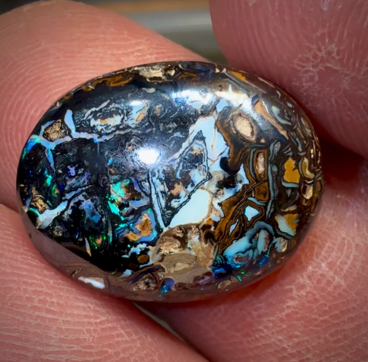 Celebrity Stone 29.2 cts - Tribal Yowah Nut. Found and Cut on ‘OUTBACK OPAL HUNTERS’