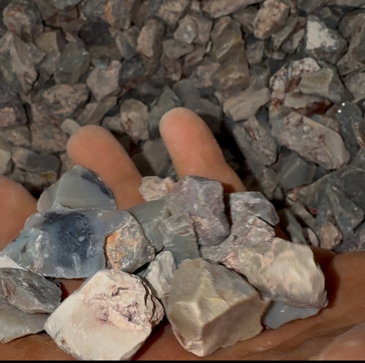 500cts - Lightning Ridge Black Potch Rough Colourless Practice Parcels. AU$0.20c/ct BULK LISTING