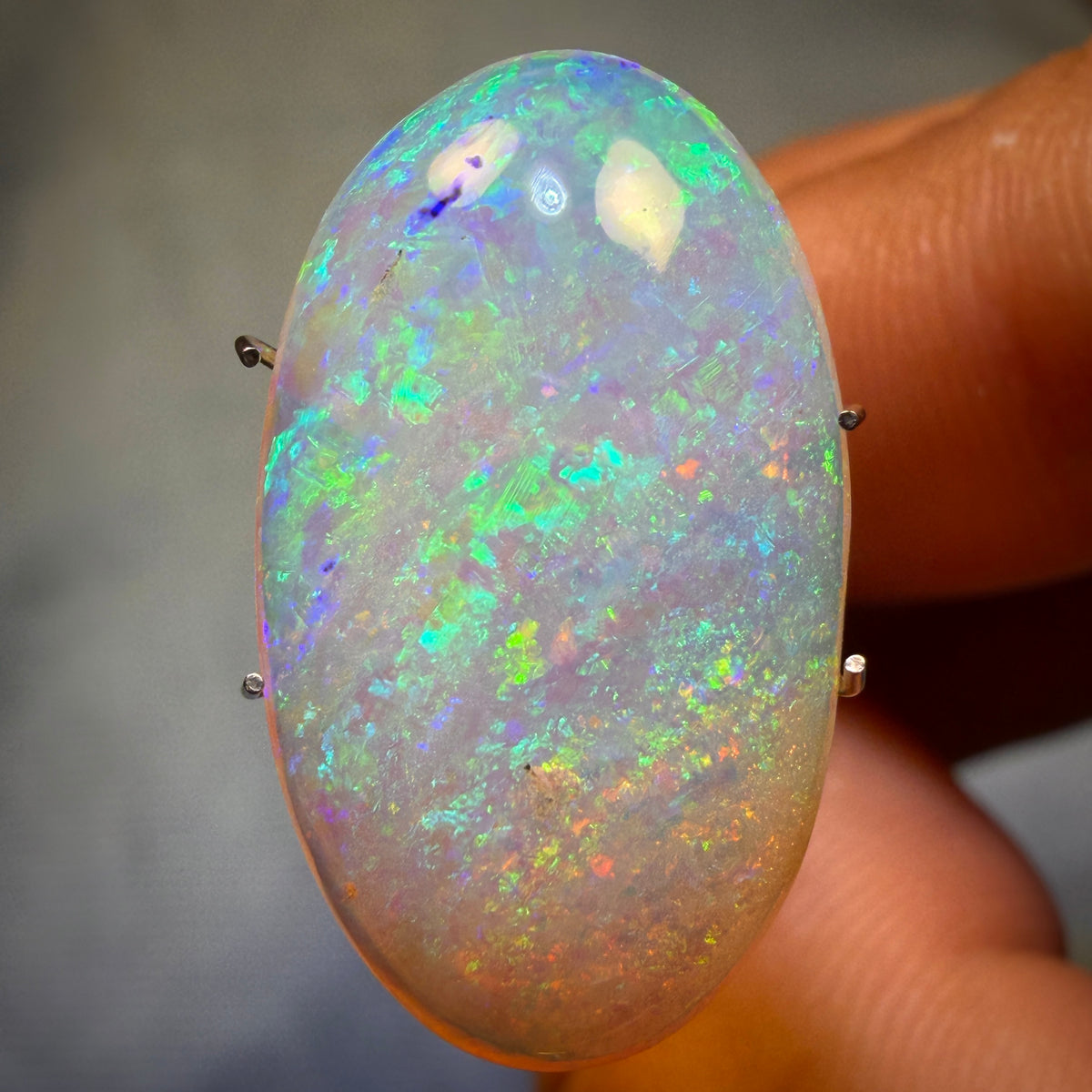 Opal Whisperer’s SET IN STONE INVESTMENT - 8.7cts - Gem Australian Boulder Crystal Opal. Featured on “Outback Opal Hunters”!