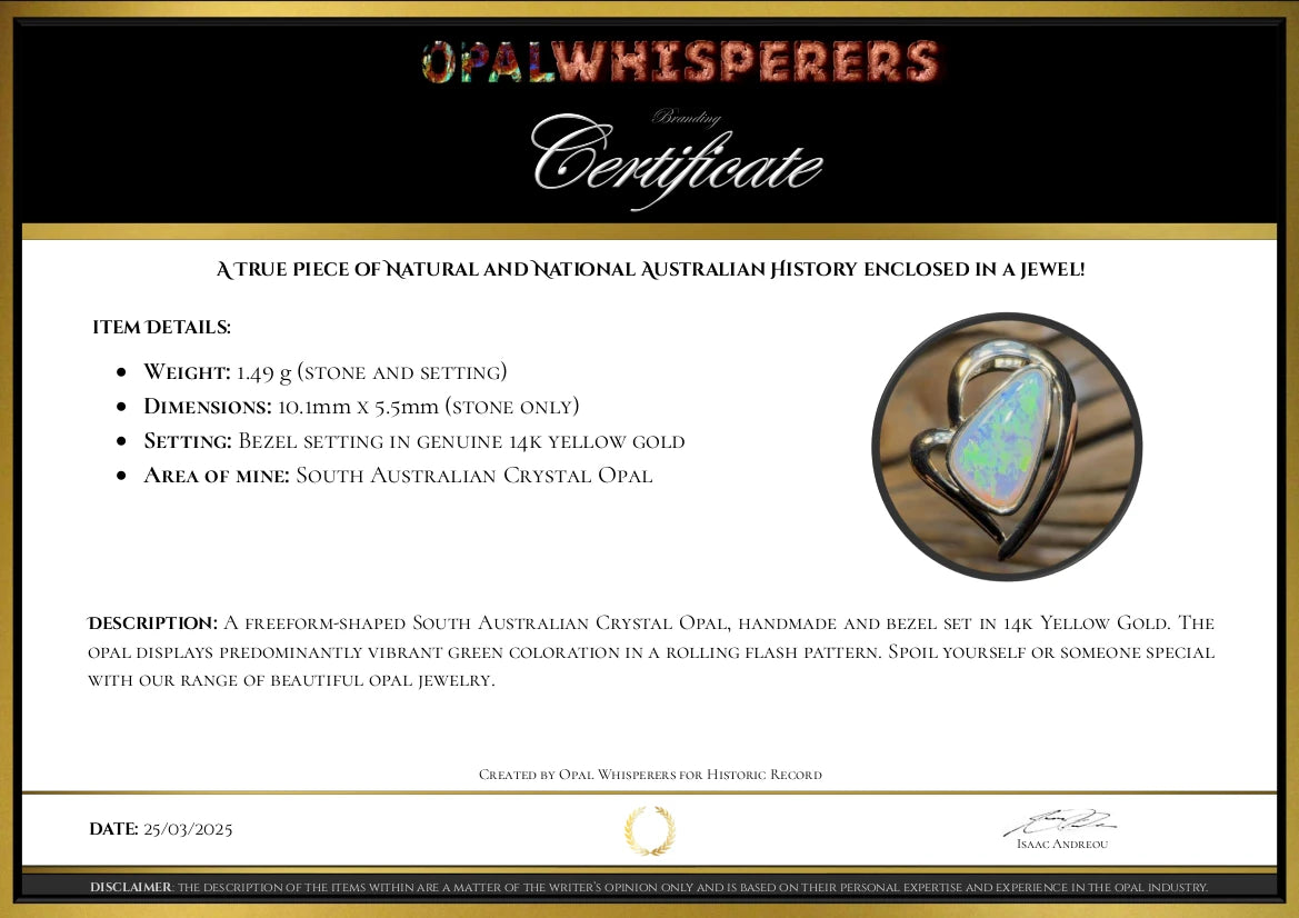 Opal Whisperers Voice Or Full Assessment Certification - Opal Whisperers
