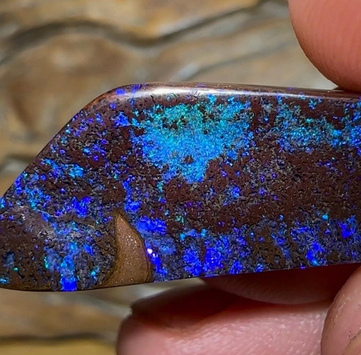 27.6cts - Solid Black Boulder Opal - Opal Whisperers