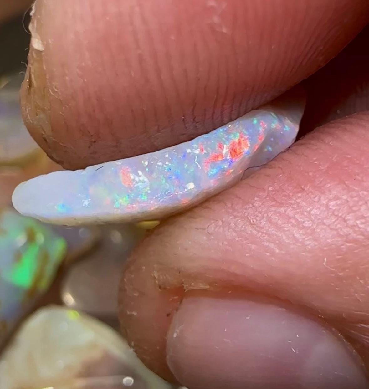 125.4cts - WATCH VIDEO!! High quality Fossil Shell Rough Opal Crystal - Opalwhisperers