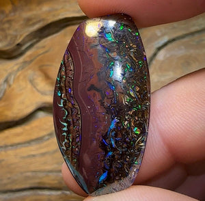 48.5cts - Tribal Pattern Koroit Nut Opal - Opal Whisperers