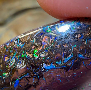 48.5cts - Tribal Pattern Koroit Nut Opal - Opal Whisperers