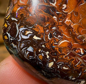 182.4cts - Tribal Queensland Boulder Opal. Unique Cut - Opal Whisperers