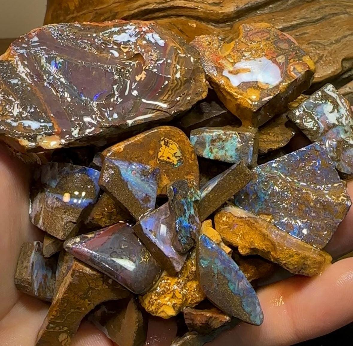 290g - Queensland Boulder Opal Rough Rub Preforms - Opal Whisperers