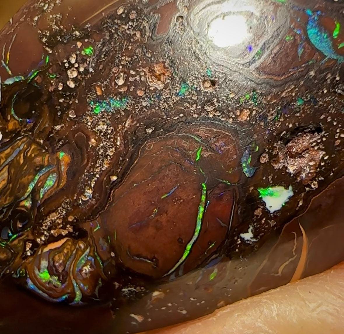 44.8cts - Queensland Boulder Opal from Koroit - Opal Whisperers