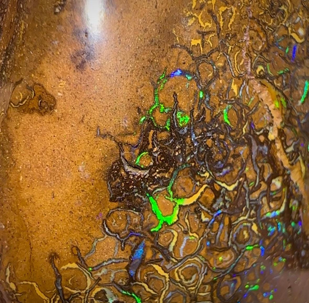 428.5cts - XLarge Tribal Pattern Koroit Nut Opal Specimen - Opal Whisperers