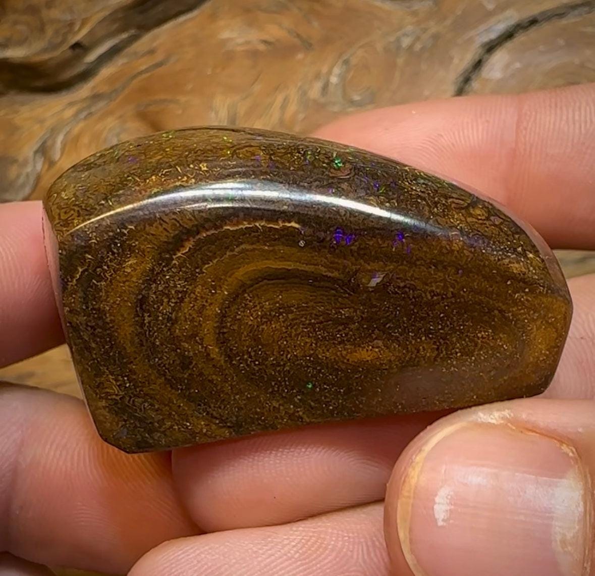 428.5cts - XLarge Tribal Pattern Koroit Nut Opal Specimen - Opal Whisperers