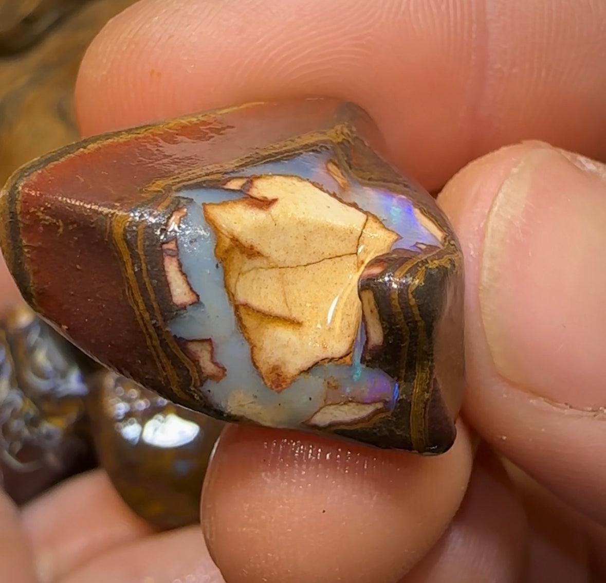 294.7cts - 5x Queensland Australian Opal Boulder Rough Rub Preforms - Opal Whisperers