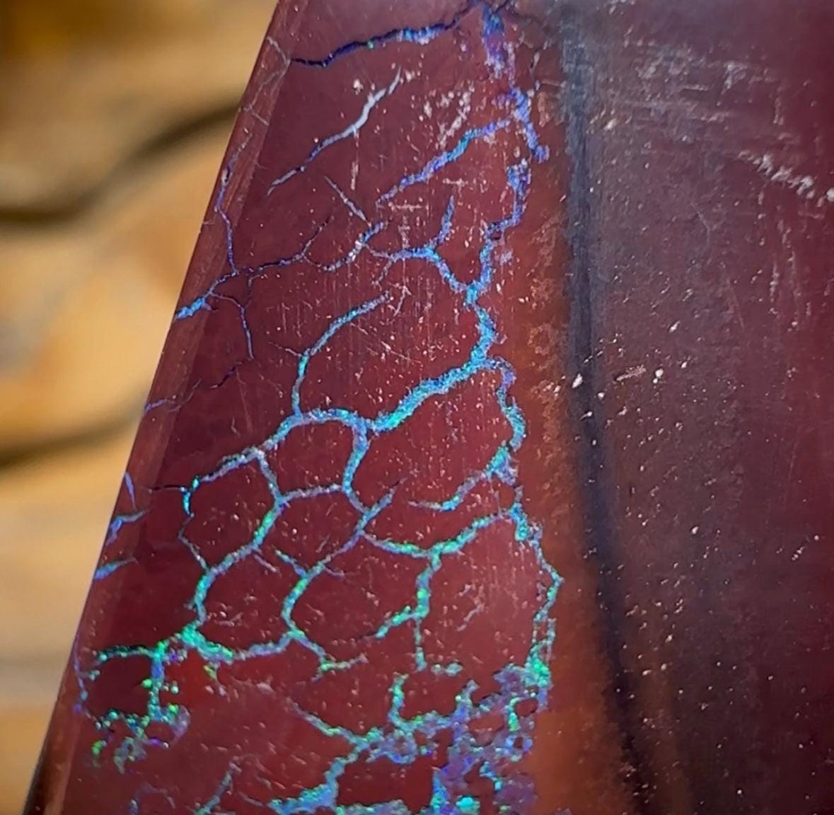 34.7cts - Queensland Boulder Opal - Opal Whisperers