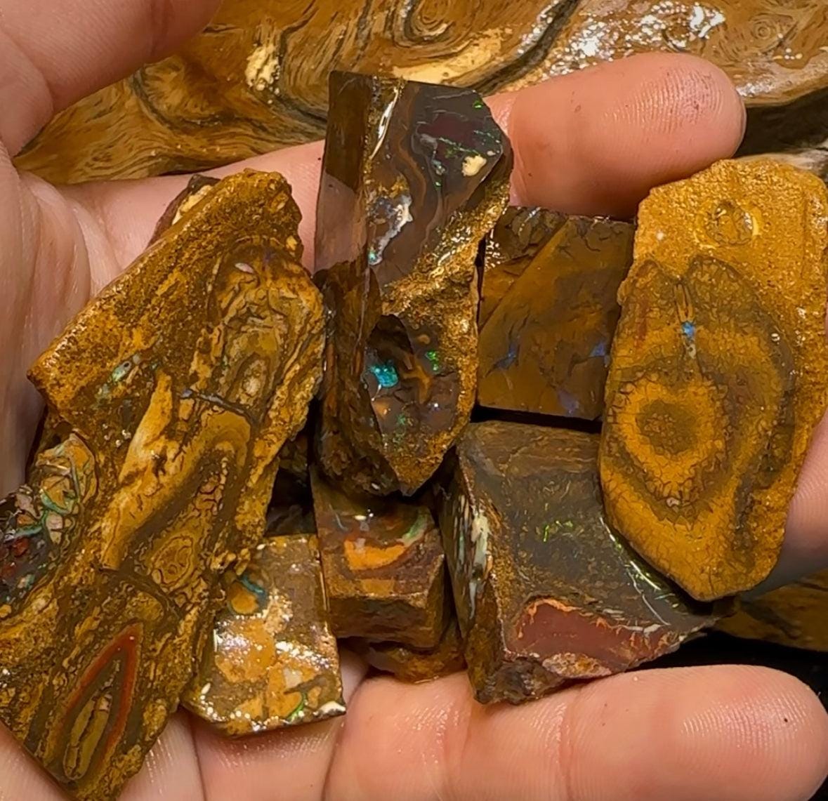 169g - Queensland Boulder Opal Rough Slices - Opal Whisperers
