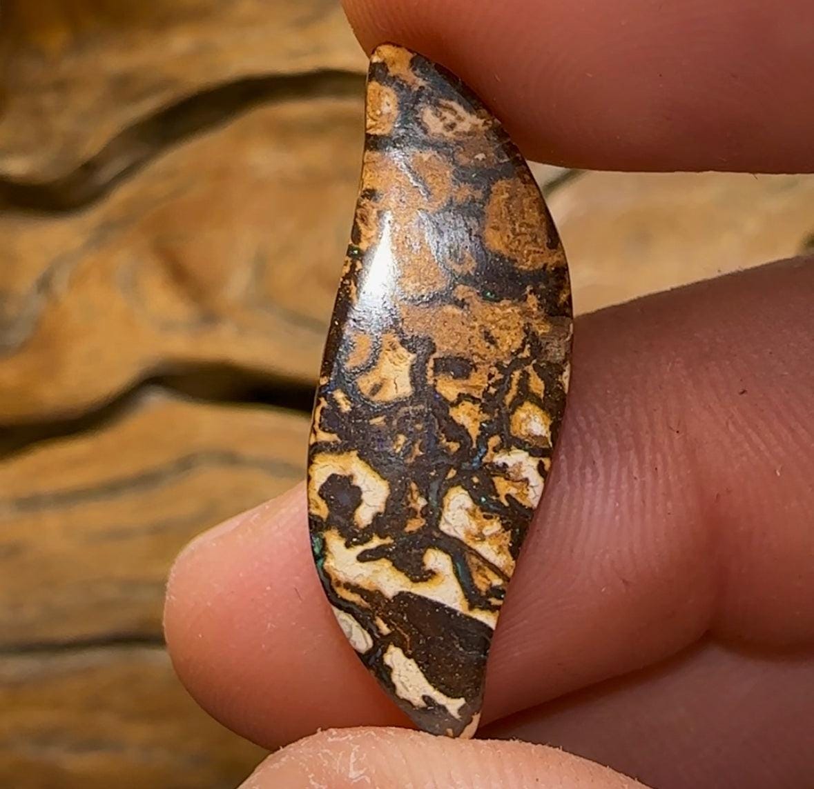 10.8cts - Queensland Boulder Opal from Yowah - Opal Whisperers