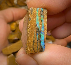 125g - 50 x Queensland Boulder Pipe Opal Rough - Opal Whisperers