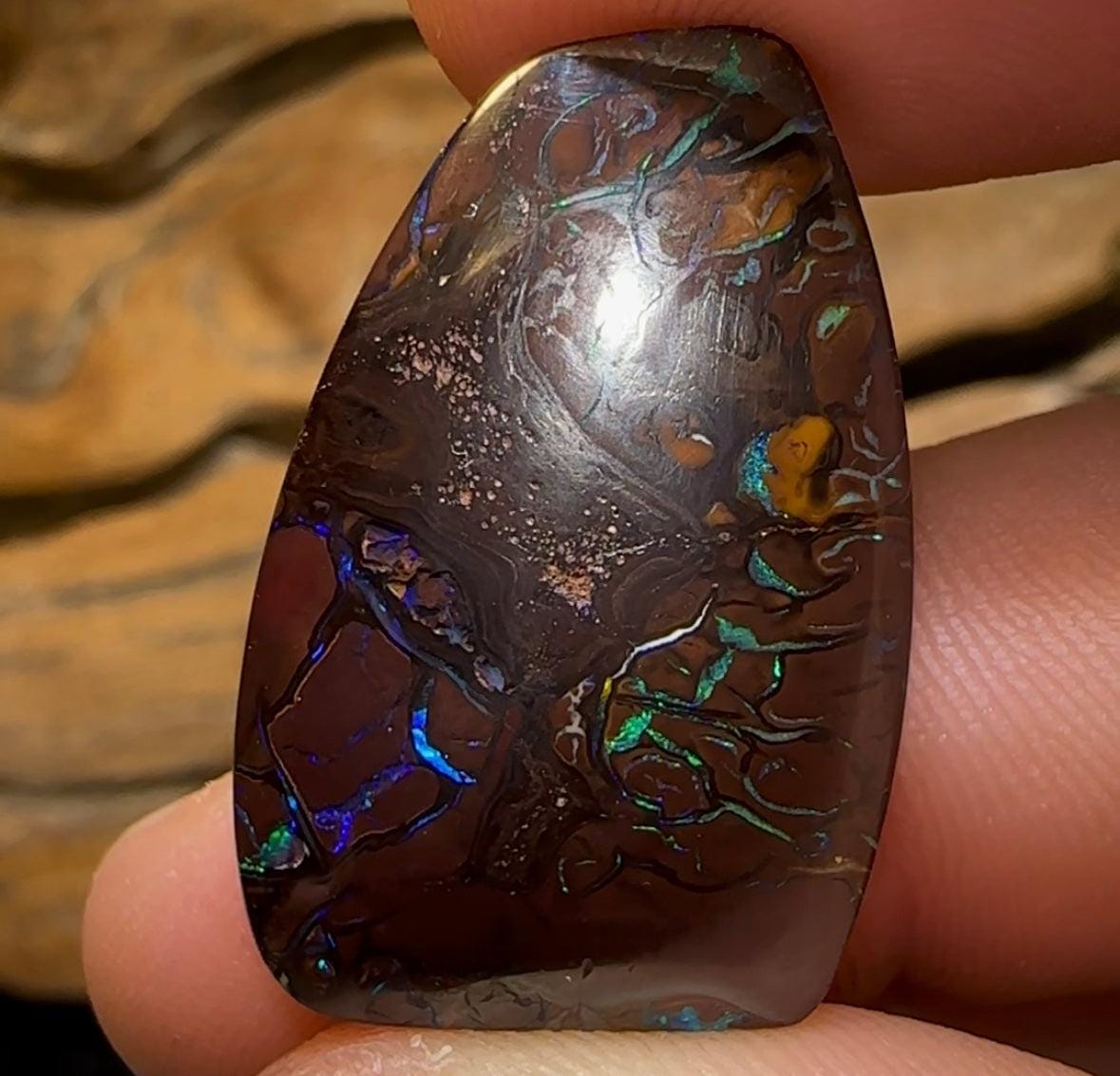 31.7cts - Queensland Boulder Black Opal from Koroit - Opal Whisperers
