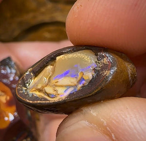 234cts - 5x Queensland Boulder Opal Rough Rub Preforms. Knockout Tribal and Kernel mix - Opal Whisperers