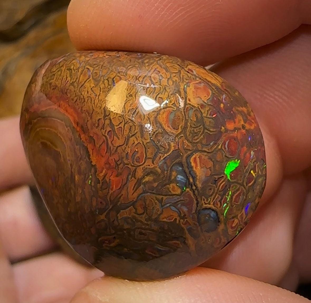 204.2cts - 3x Queensland Boulder Australian Opal Rubs. Great Crystal Center Yowah Nut - Opal Whisperers