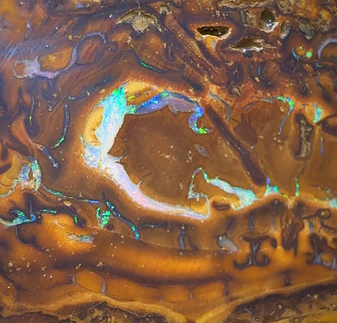 147g - Yowah Nut Opal Rough Slab Pair - Opal Whisperers