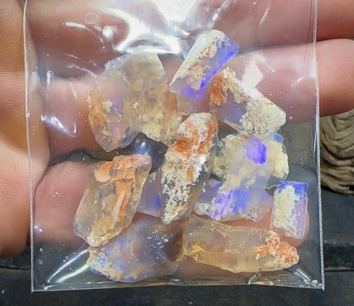 66cts - Lightning Ridge, Fossil Rough Opal Specimen - Opalwhisperers