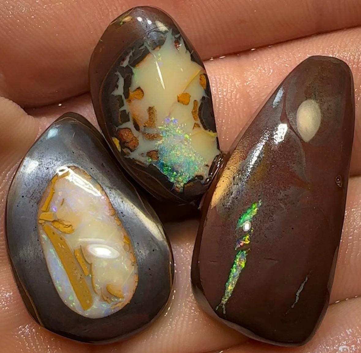 102.2cts - 3x Queensland Boulder Australian Opal Rubs with Kernels - Opal Whisperers