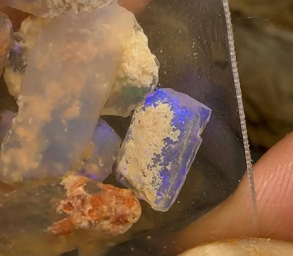 66cts - Lightning Ridge, Fossil Rough Opal Specimen - Opalwhisperers