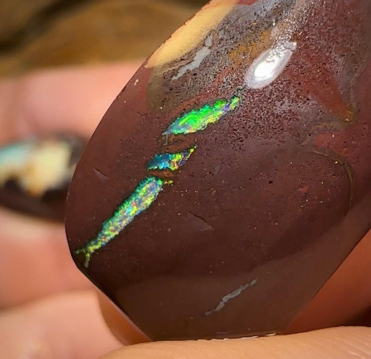 102.2cts - 3x Queensland Boulder Australian Opal Rubs with Kernels - Opal Whisperers