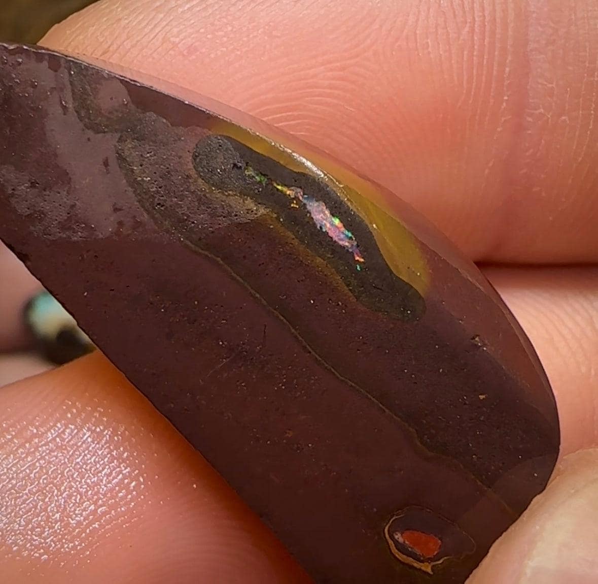 102.2cts - 3x Queensland Boulder Australian Opal Rubs with Kernels - Opal Whisperers