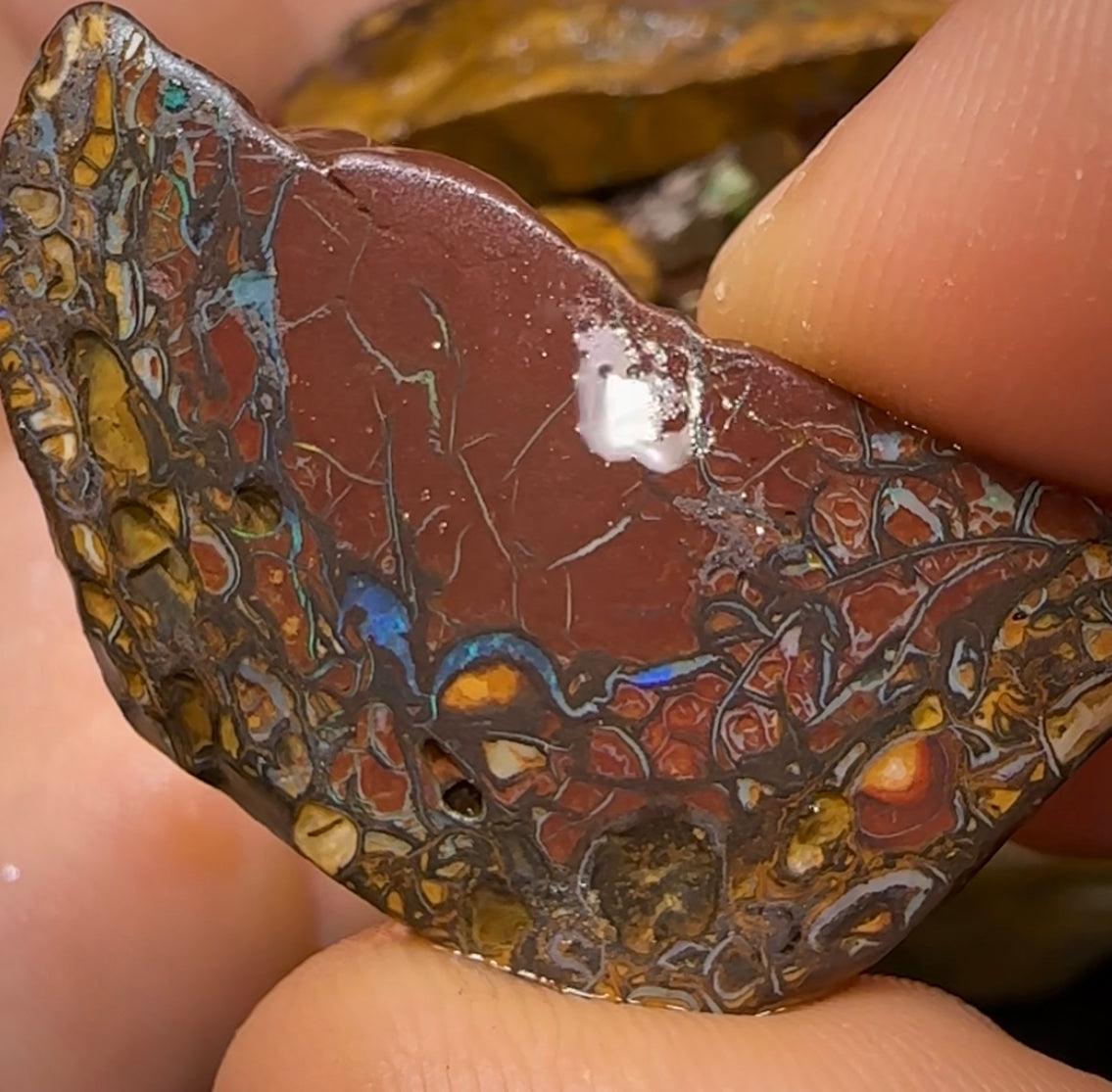 201.1cts - 5x Queensland Boulder Opal Rough Rub Preforms - Opal Whisperers