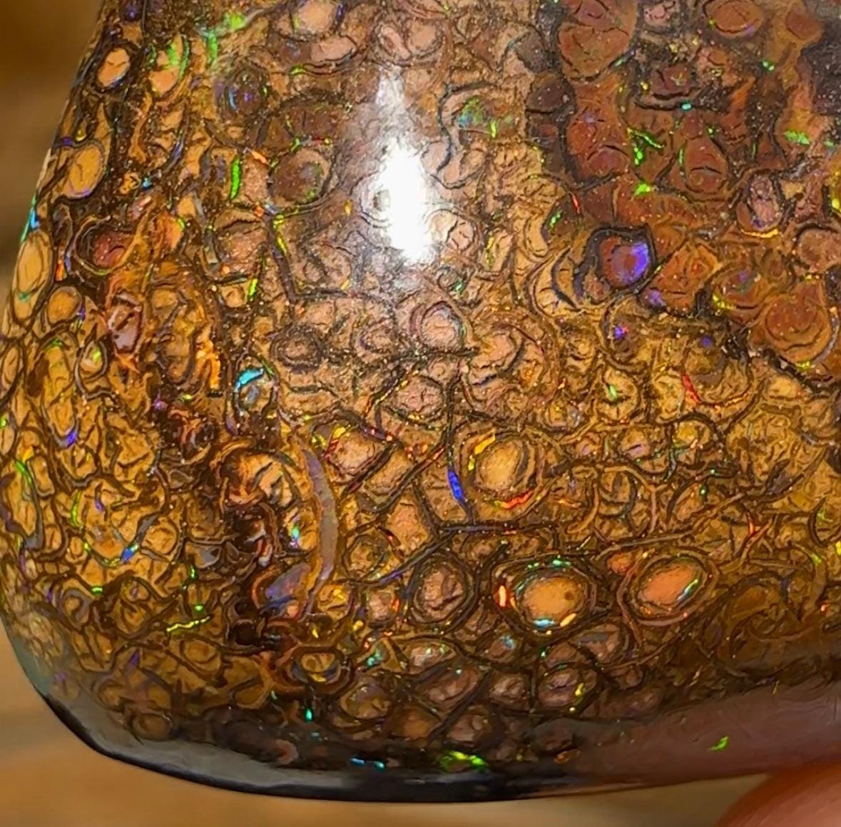 148.1cts - TOP Tribal and Kernel Combo Yowah Australian Boulder Opal. - Opal Whisperers