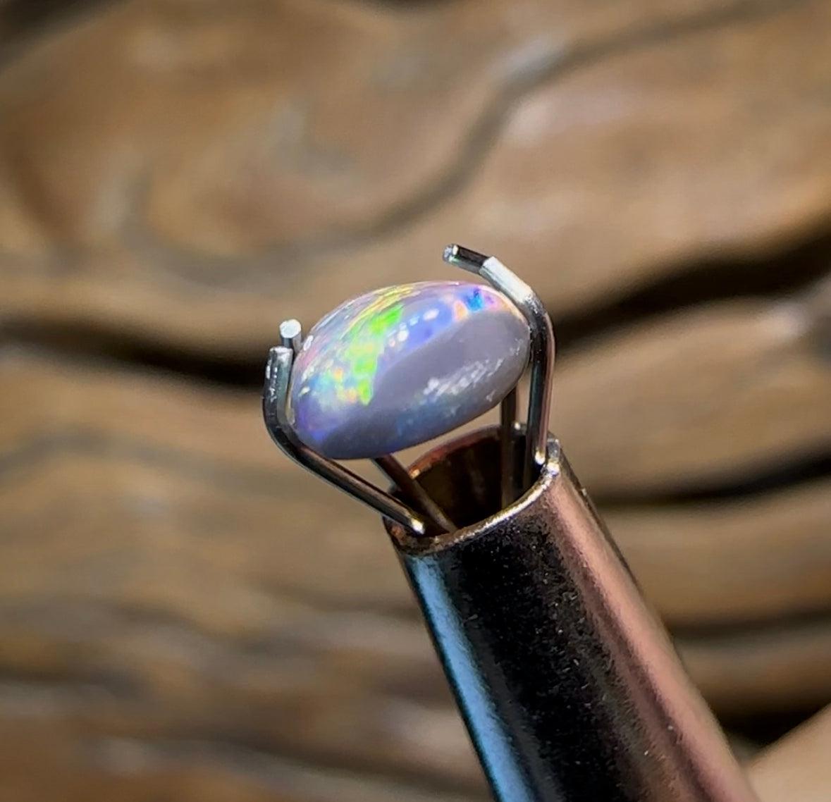 0.8cts - Red Fire 🔥 Solid Lightning Ridge Black Opal - Opal Whisperers