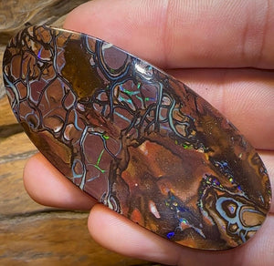 211.1cts - Large Tribal Pattern Koroit Nut Opal Specimen - Opal Whisperers