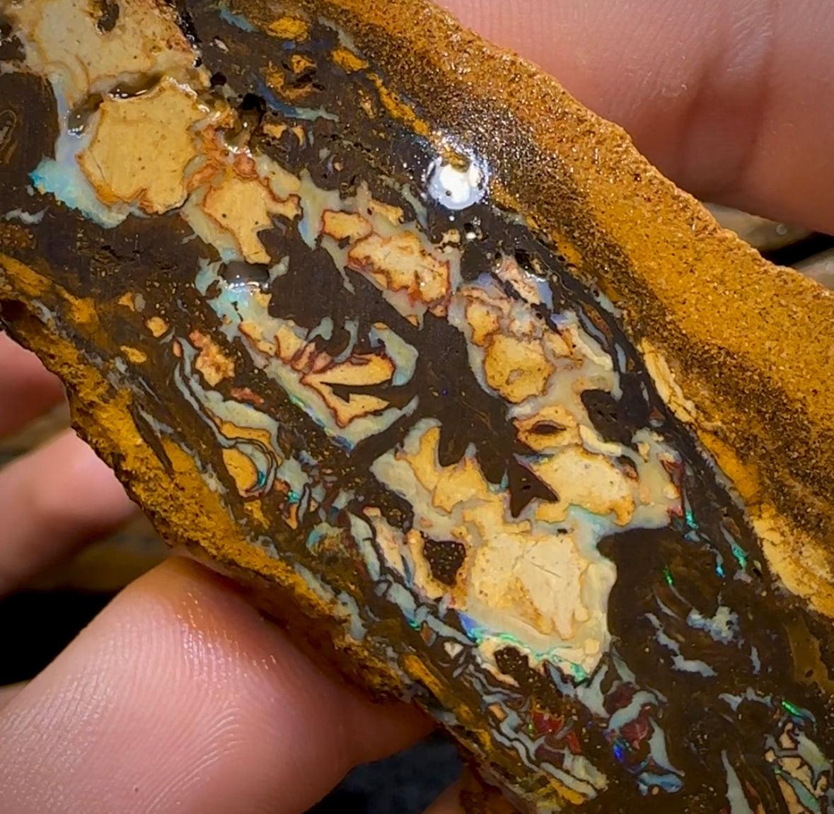 The 338.8cts - 6x Yowah Nut Rough Slabs. Australian Opal - Opal Whisperers