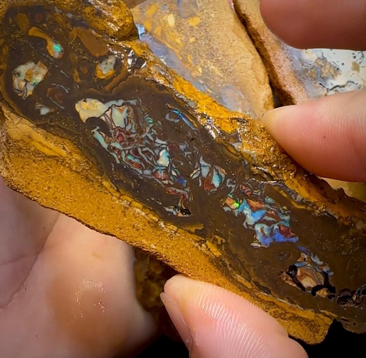 The 338.8cts - 6x Yowah Nut Rough Slabs. Australian Opal - Opal Whisperers