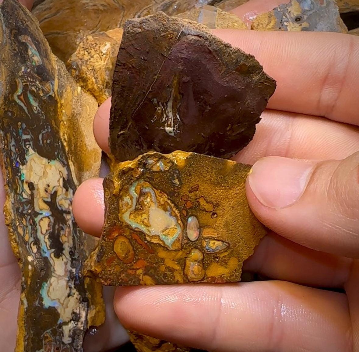 The 338.8cts - 6x Yowah Nut Rough Slabs. Australian Opal - Opal Whisperers