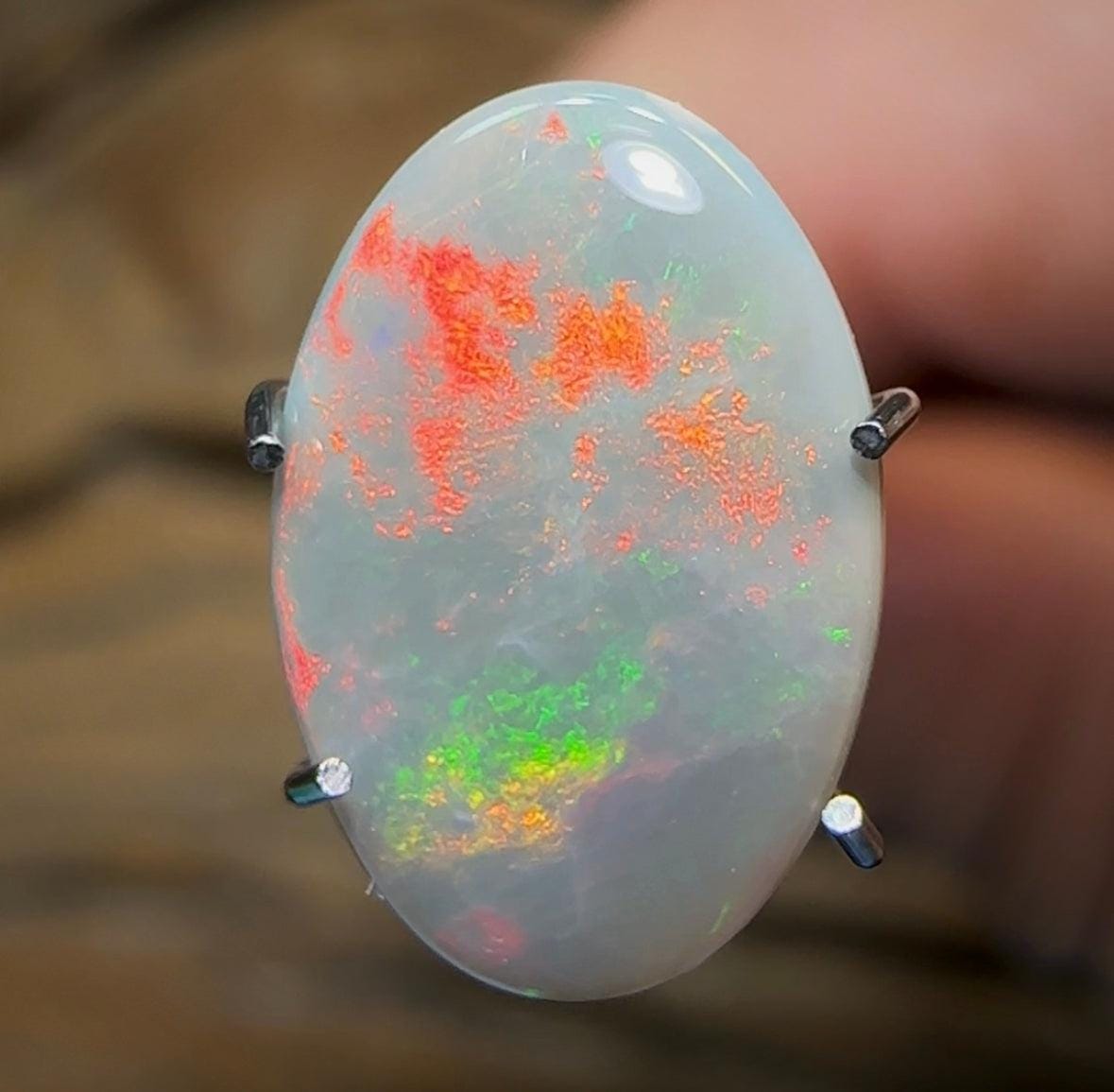 1.7cts - Lightning Ridge Solid Semi Black Opal - Opal Whisperers