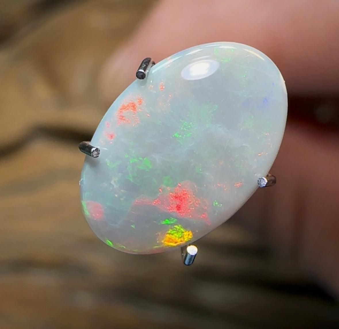 1.7cts - Lightning Ridge Solid Semi Black Opal - Opal Whisperers