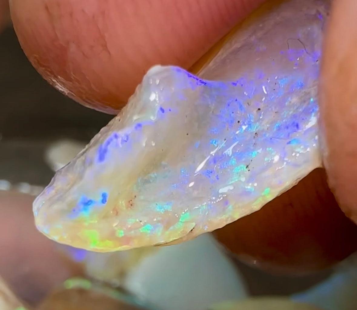 125.4cts - WATCH VIDEO!! High quality Fossil Shell Rough Opal Crystal - Opalwhisperers