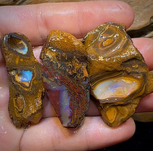 The 368.4cts - 3x Yowah Nut Rough Pieces. Crystal Center Conglomerate Australian Opal @ 1|Ct - Opal Whisperers