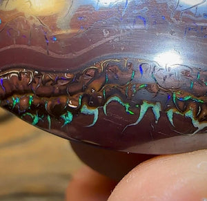 48.5cts - Tribal Pattern Koroit Nut Opal - Opal Whisperers