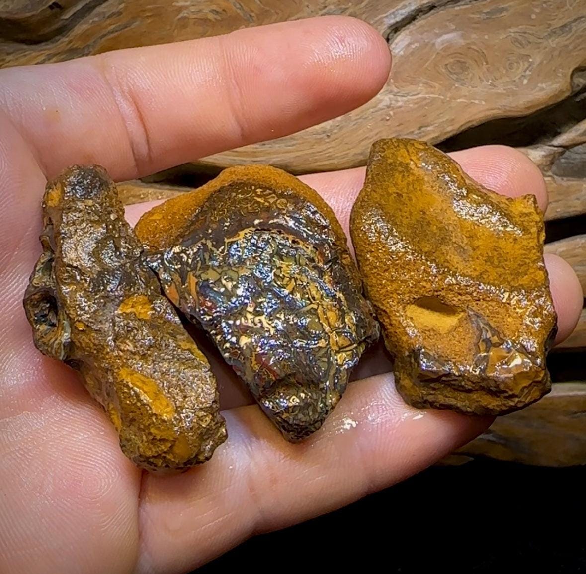 The 368.4cts - 3x Yowah Nut Rough Pieces. Crystal Center Conglomerate Australian Opal @ 1|Ct - Opal Whisperers