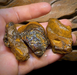 The 368.4cts - 3x Yowah Nut Rough Pieces. Crystal Center Conglomerate Australian Opal @ 1|Ct - Opal Whisperers