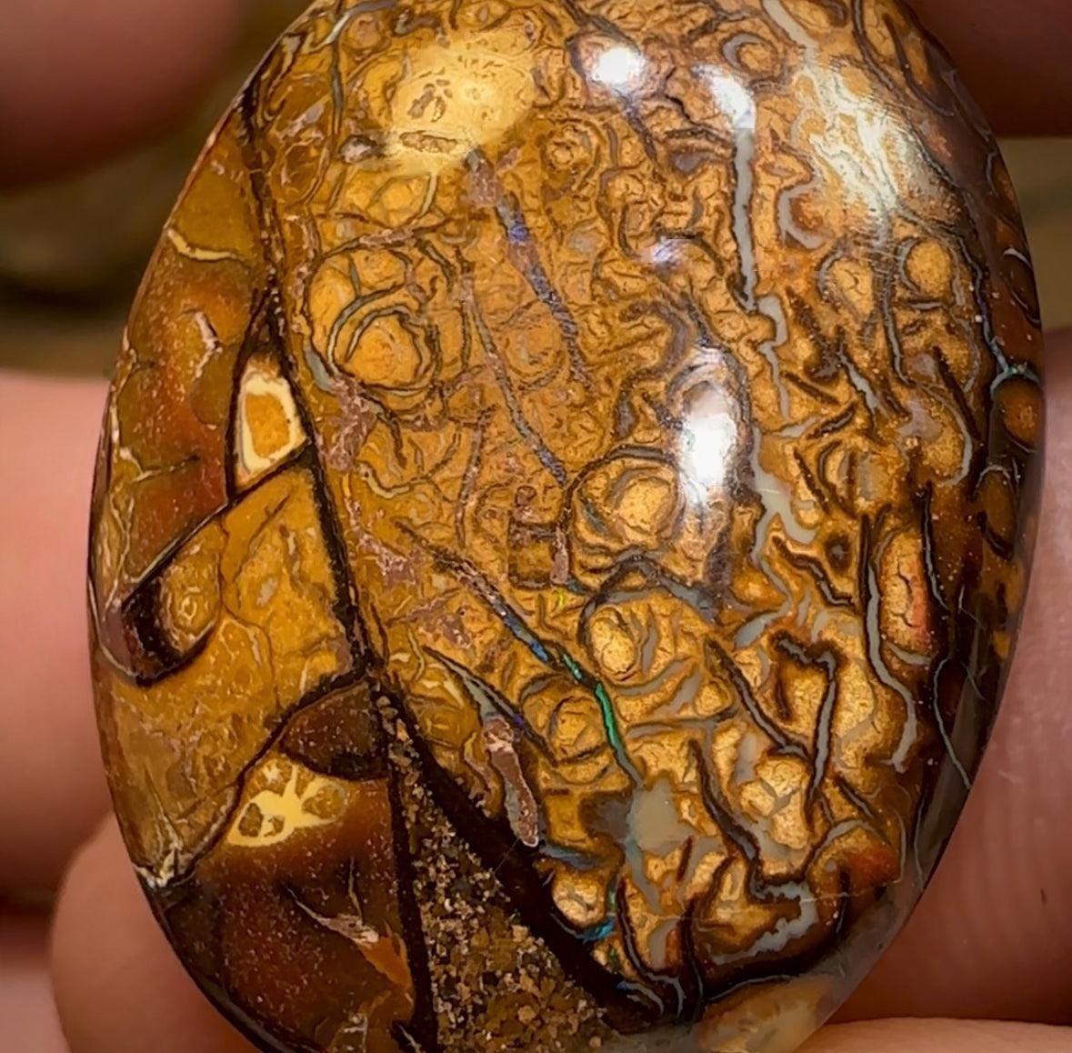 62.4cts - Tribal Pattern Yowah Nut Opal Pair - Opal Whisperers