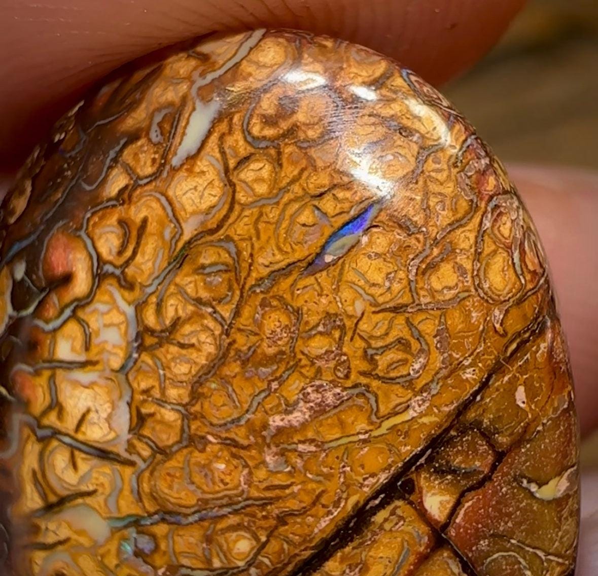 62.4cts - Tribal Pattern Yowah Nut Opal Pair - Opal Whisperers