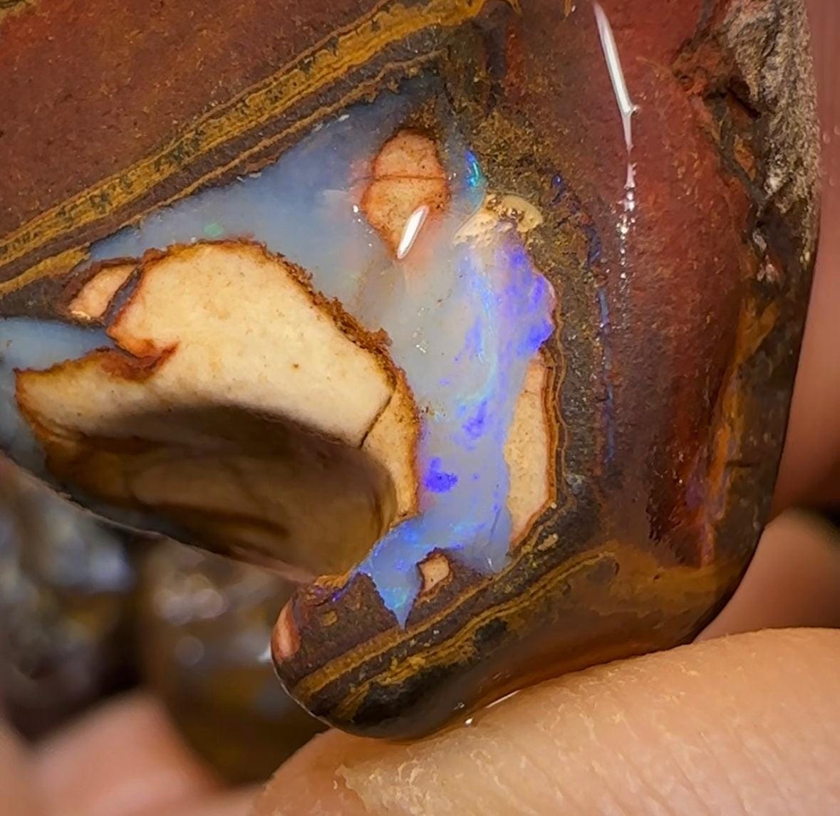 294.7cts - 5x Queensland Australian Opal Boulder Rough Rub Preforms - Opal Whisperers