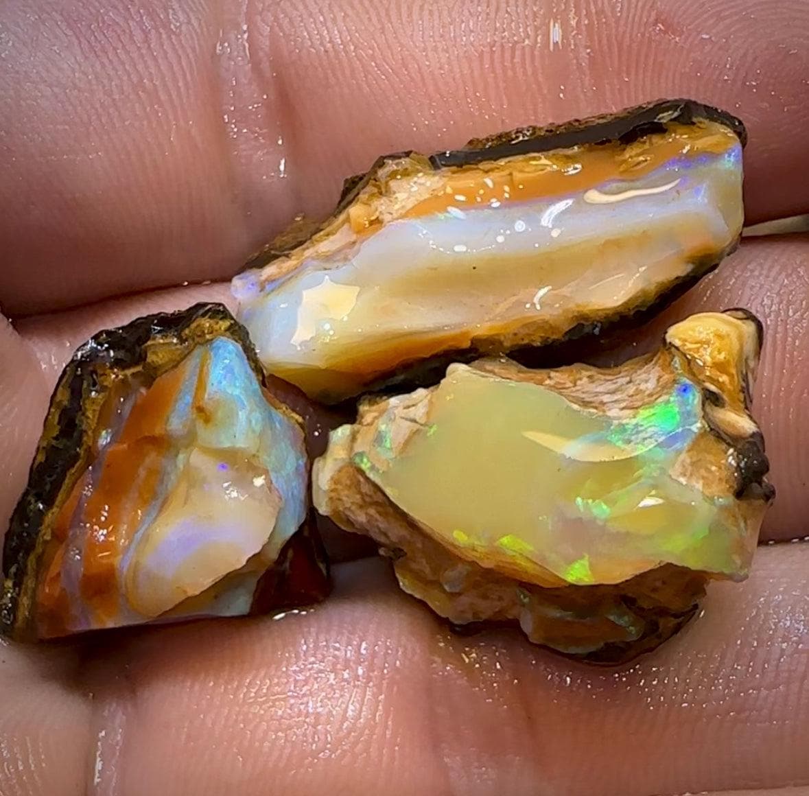 The 74.5cts - 3x Yowah Nut Crystal Centre Rough Pieces. Australian Opal - Opal Whisperers